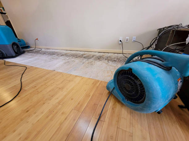 Professional Emergency Water Damage technician working in Holiday, FL